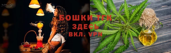 прущие грибы Володарск