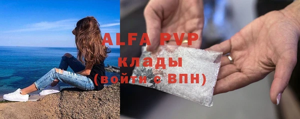 прущие грибы Володарск
