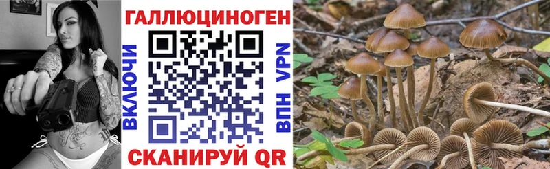 Галлюциногенные грибы прущие грибы  blacksprut зеркало  Вуктыл 